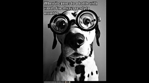 super intelligent dog 🤣💯🦾😈