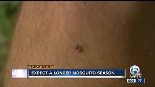 Expect a longer mosquito season