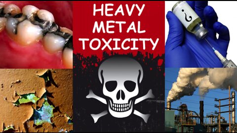 Heavy Metals Toxicity Crisis & How to Remove the Heavy Metals from your Body with Dr Christina Rahm