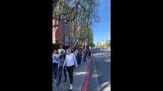 Disney Employees in California Walk Out to Protest Florida’s Parental Rights Bill