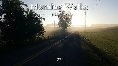 Morning Walks with Yizz 224