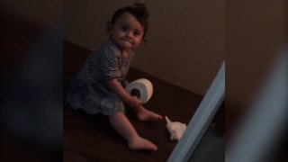 Baby Holds Toilet Paper And Won't Let Go