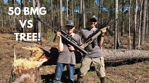 Shooting Down a Tree with 50BMG!!!