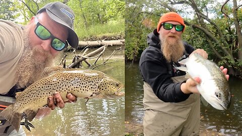 Steelhead Eats My Skein On The Retrieve... Skamania Steelhead Salmon & Trout Fishing Michigan Rivers