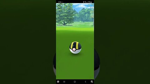 Pokémon GO-Shiny Fletchling