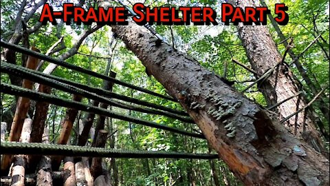 Removing a Dead Fall Tree Threat - A-Frame Shelter Part 5