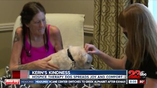 Therapy dogs brings joy to Hoffman Hospice