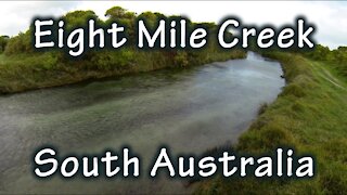 Drift Snorkelling down Eight Mile Creek, South Australia