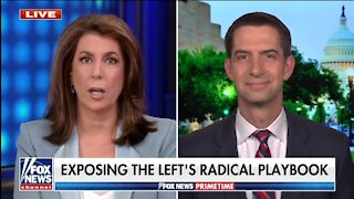 Tom Cotton: Dems Are Going To Pay a Price For Their Policies