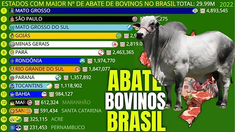 Estados com Maior Nº de Abate de Bovinos no Brasil | 1931-2022