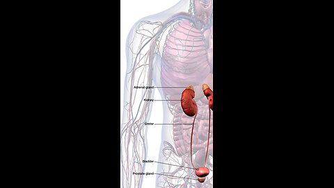 adrenal insufficiency hack