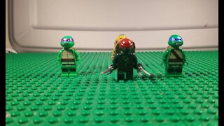 LEGO Ninja Turtles VS the 501st