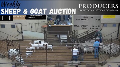10/24/2023 - Producers Livestock Auction Company Sheep & Goat Auction
