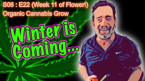 S06 E22 Day 71 of Flower || How to Water and Grow Cannabis for Beginners ||