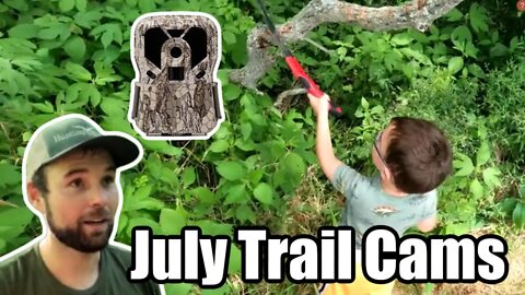 July Trail Cams in Hill Country Hubs and Small Parcels