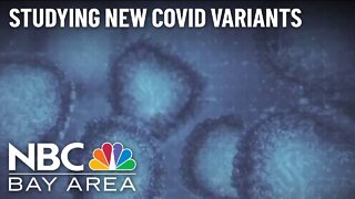 Latest Omicron Subvariant Can Reinfect People Who Had COVID: Report