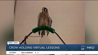 CROW hosts virtual classroom lessons