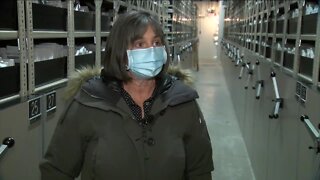 Inside the USDA ’seed bank’ in Northern Colorado