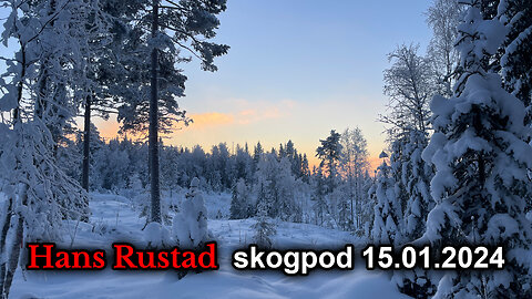 Skogpod 15. januar 2024