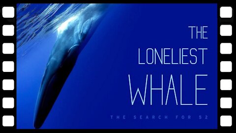 the loneliest whale trailer CinUP