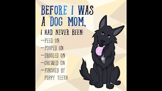 Before I Was A Dog Mom [GMG Originals]