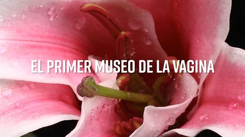 El primer Museo de la Vagina ya está aquí