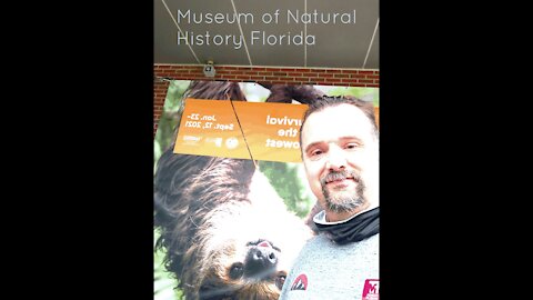 Museum of natural history Florida