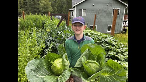 Living Off The Land In ALASKA | Building A Garden
