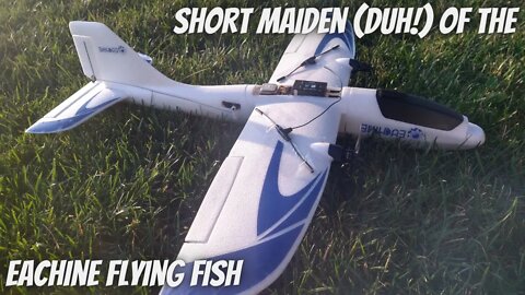 Maiden of the Eachine/AtomRC Flying Fish