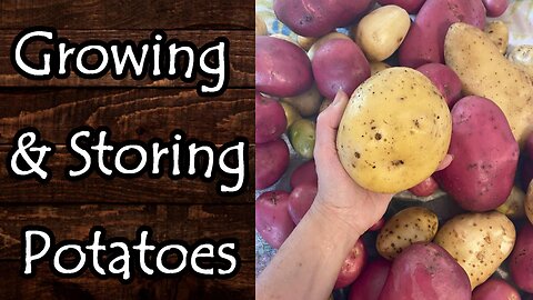 Tips on Growing and Storing Potatoes