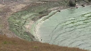 WEB EXTRA: Indian River Keeper reports algae along Lake Okeechobee