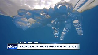East Aurora proposes plastic ban