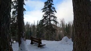 Snowshoeing in Whitefish, Montana