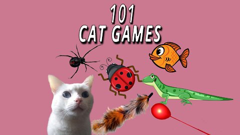 CAT GAMES: 101 in 1 Video FUN FOR YOUR CAT!