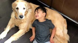 Alerta fofura: menino aconchega cão ao dormir