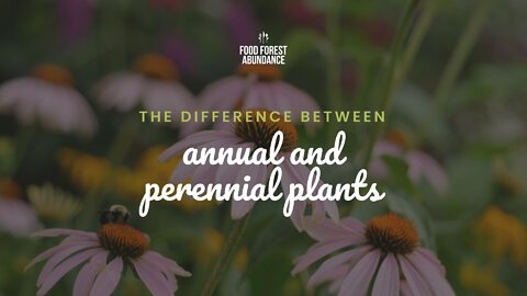 The difference between annual and perennial plants