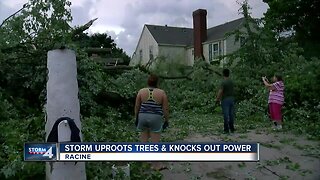 Storm downs trees in Racine