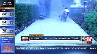 Keeping your pets safe in Halloween costumes