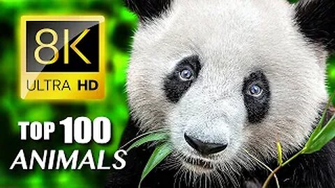 TOP 100 - Most Endangered Animals 8K ULTRA HD/ part 1