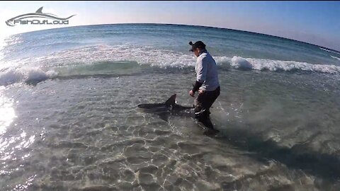 Fishing for Sharks from the beach