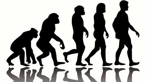 10 Weird Facts About Human Evolution