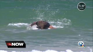 Shark bites surfer in St. Lucie County