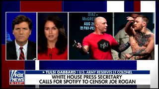 Tulsi Gabbard: The Real Danger Is That Our Freedom Of Speech Is Being Threatened