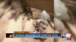 Woman arrested after puppies dumped in trash can at Coachella