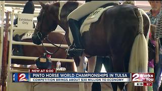 Pinto Horse World Championship returns to Tulsa