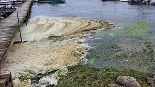 Algae blooms are a growing concern