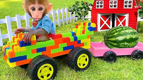 Baby Monkey Bon Bon Broken Truck While Harvesting Fruit and Get Helped By Puppy, funny animal video
