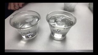 Science Sunday: Does Ice Melt Faster in Tap Water or Saltwater? (FULL EXPERIMENT)