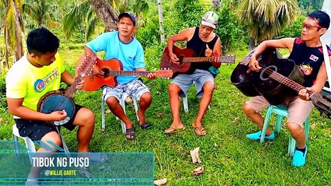 Tibok ng Puso - Willie Garte (Rondalla Version)