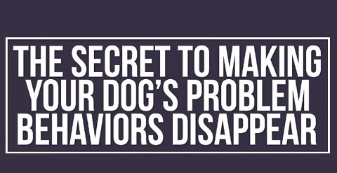 The Secret To Making Your Dog’s Problem Behaviors Disappear